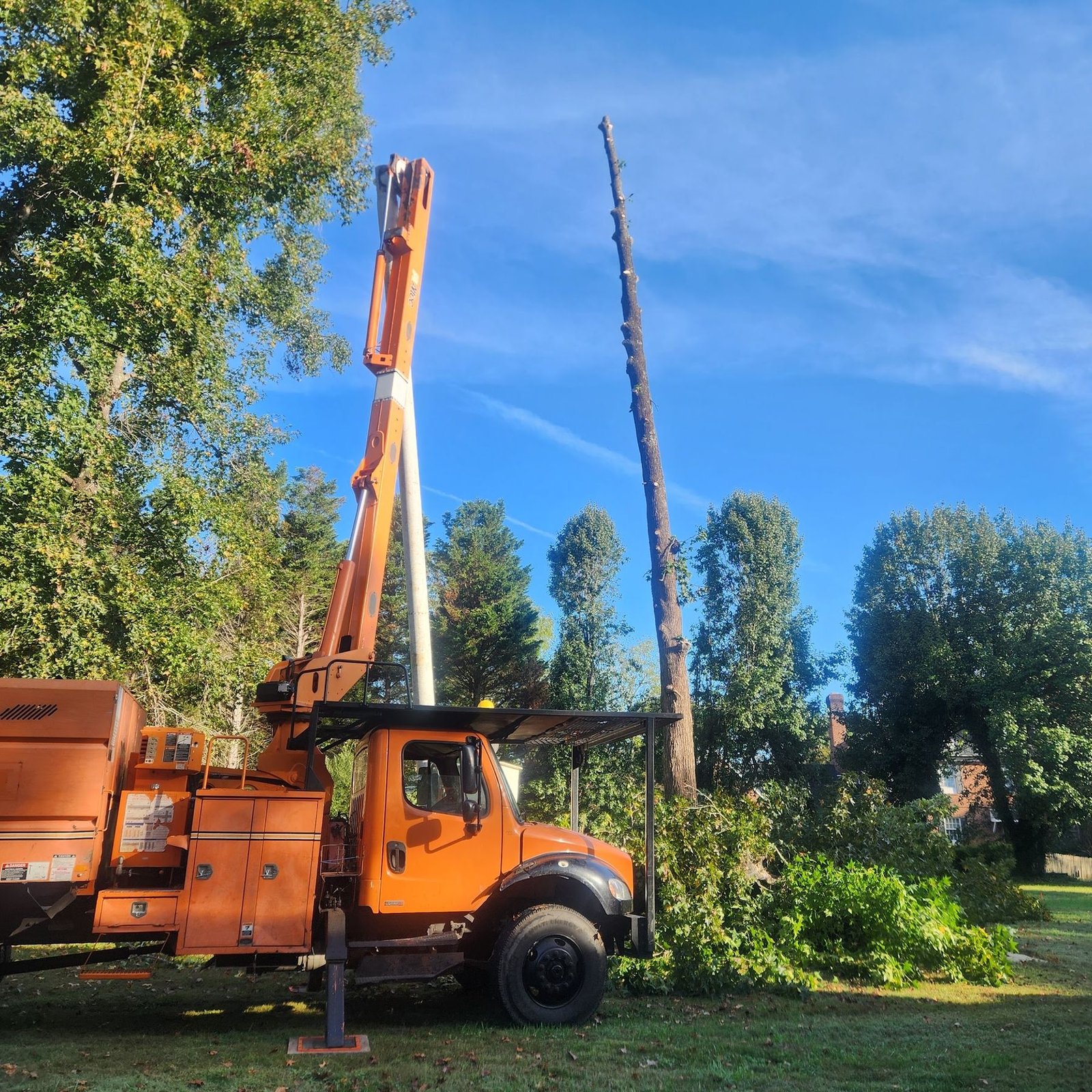 Bucket truck with boom raised beside a tall bare spar left standing after limbs were removed