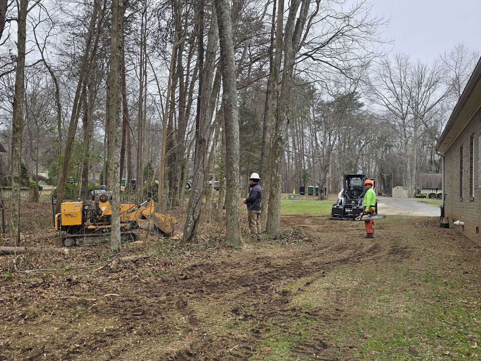 Tree work by Triad Tree Removal