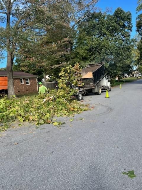 Crew member raking brush toward the chip truck trailer on a residential street