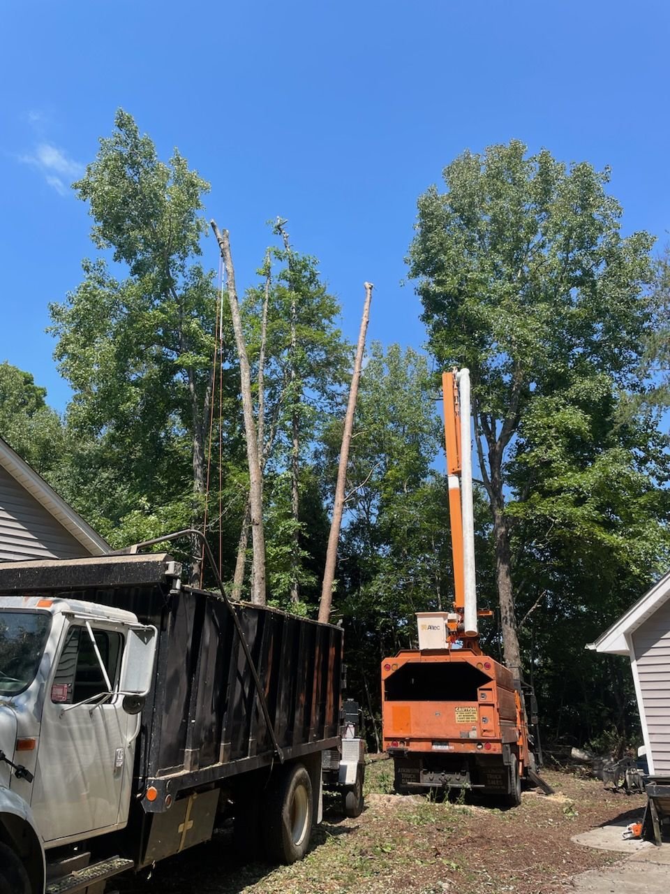 Dump truck loaded with cut tree trunks parked beside the bucket truck in a driveway