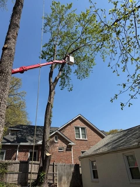 Bucket boom reaching a tree in the tight gap between a brick house and a garage