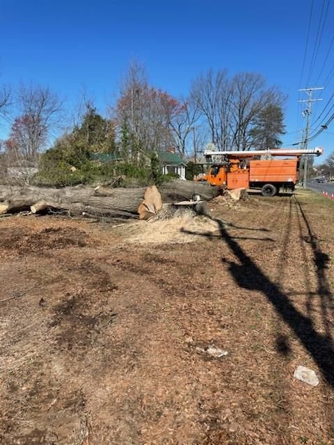 Large felled trunk left in the yard with a fresh stump cut and the bucket truck on the street