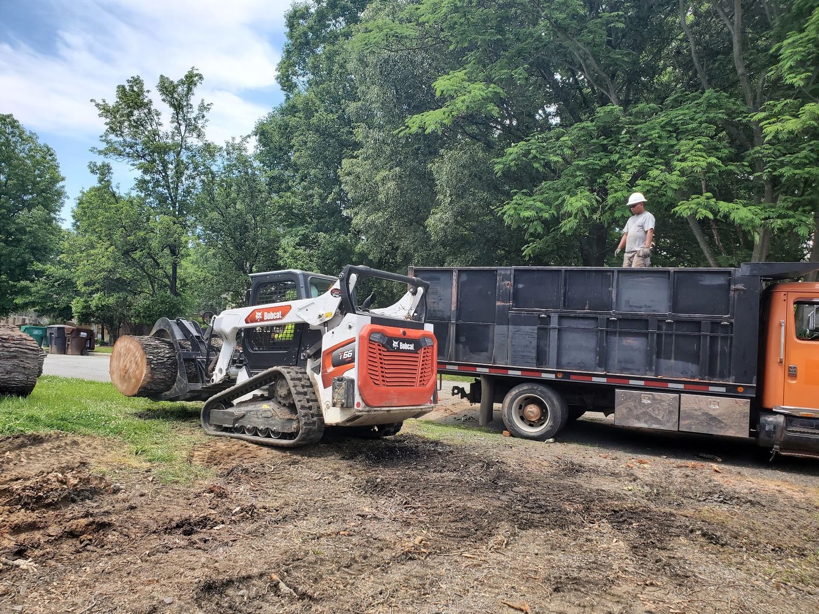 Skid steer grapple loading a large log onto the dump truck while a crew member watches from the bed