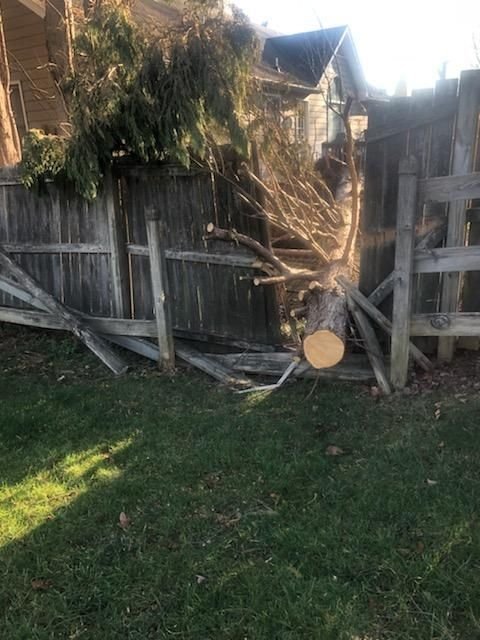 Broken trunk fallen through a wooden privacy fence, splitting several pickets