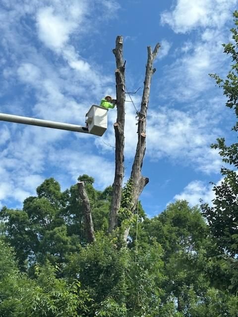 Crew member in the bucket topping a dead spar section by section