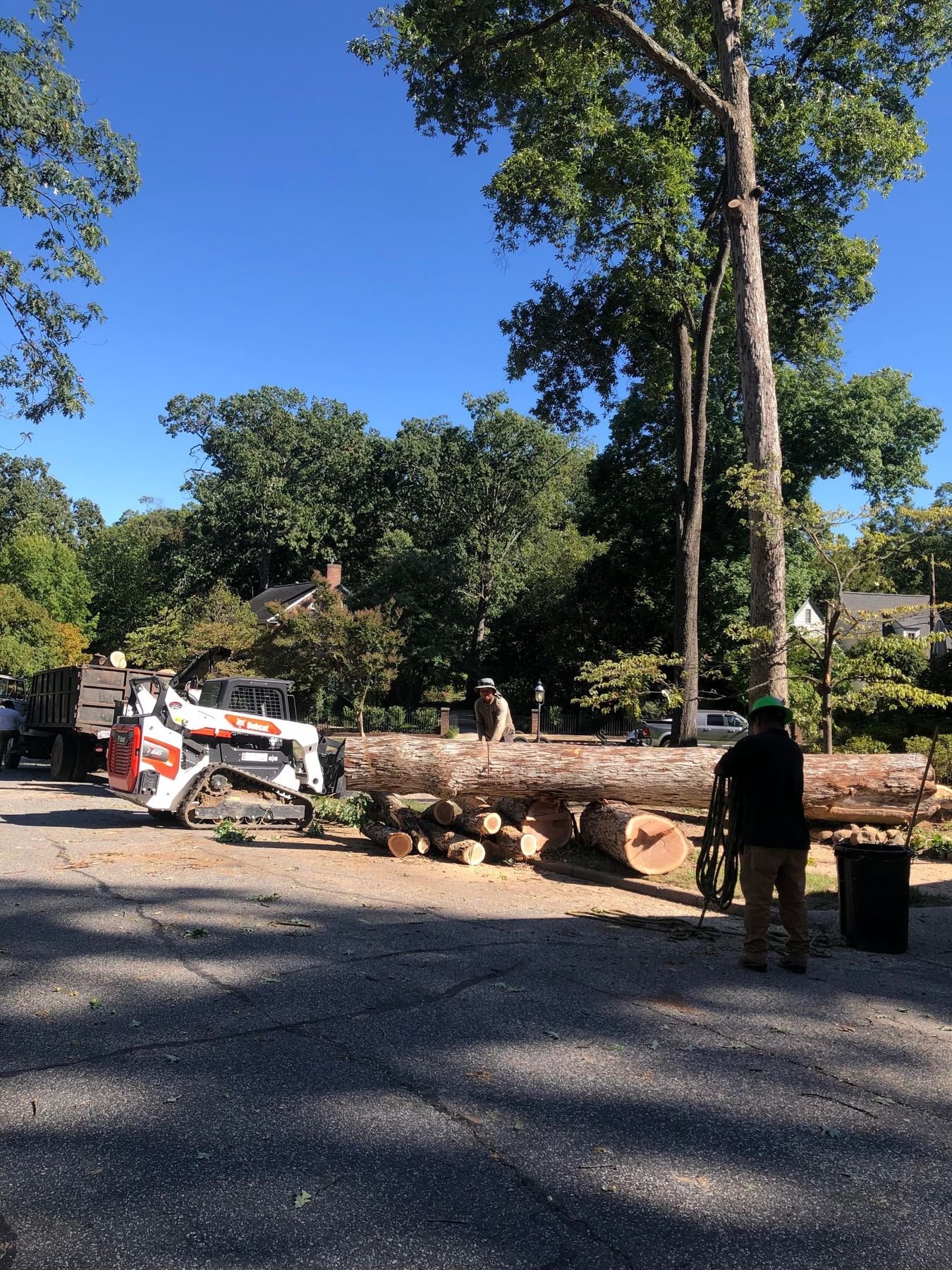 Crew bucking a long trunk in the street with the skid steer and dump truck staged behind them